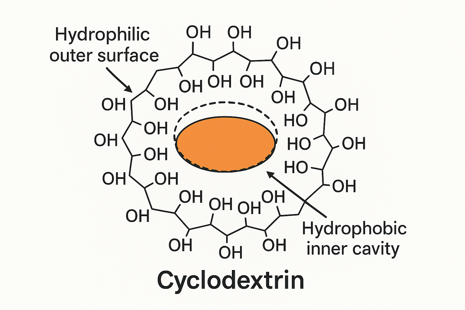 Cyclodextrin polymers